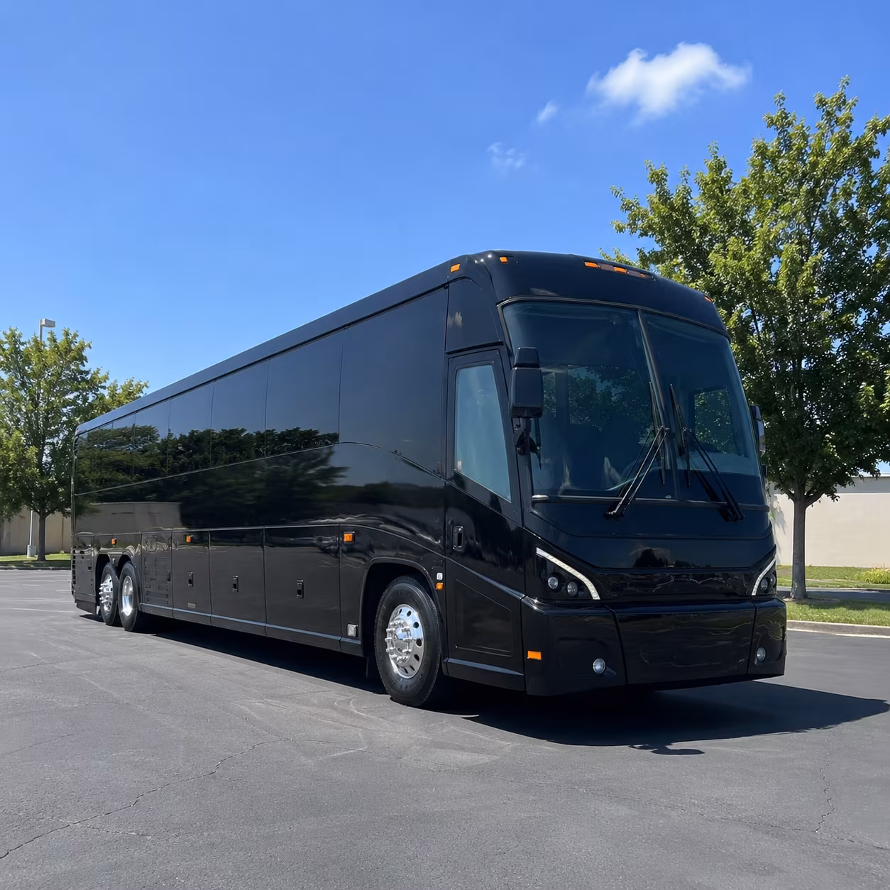 that s the beauty of comparing from a network more buses more options better prices