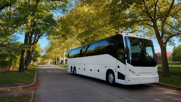 euclid emergency transportation service