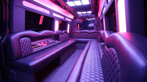 euclid sprinter limo rental inside